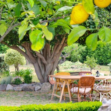 La Casa Di Lina - Capo D'Orlando, Casa Con Ampio Giardino Villa Екстериор снимка