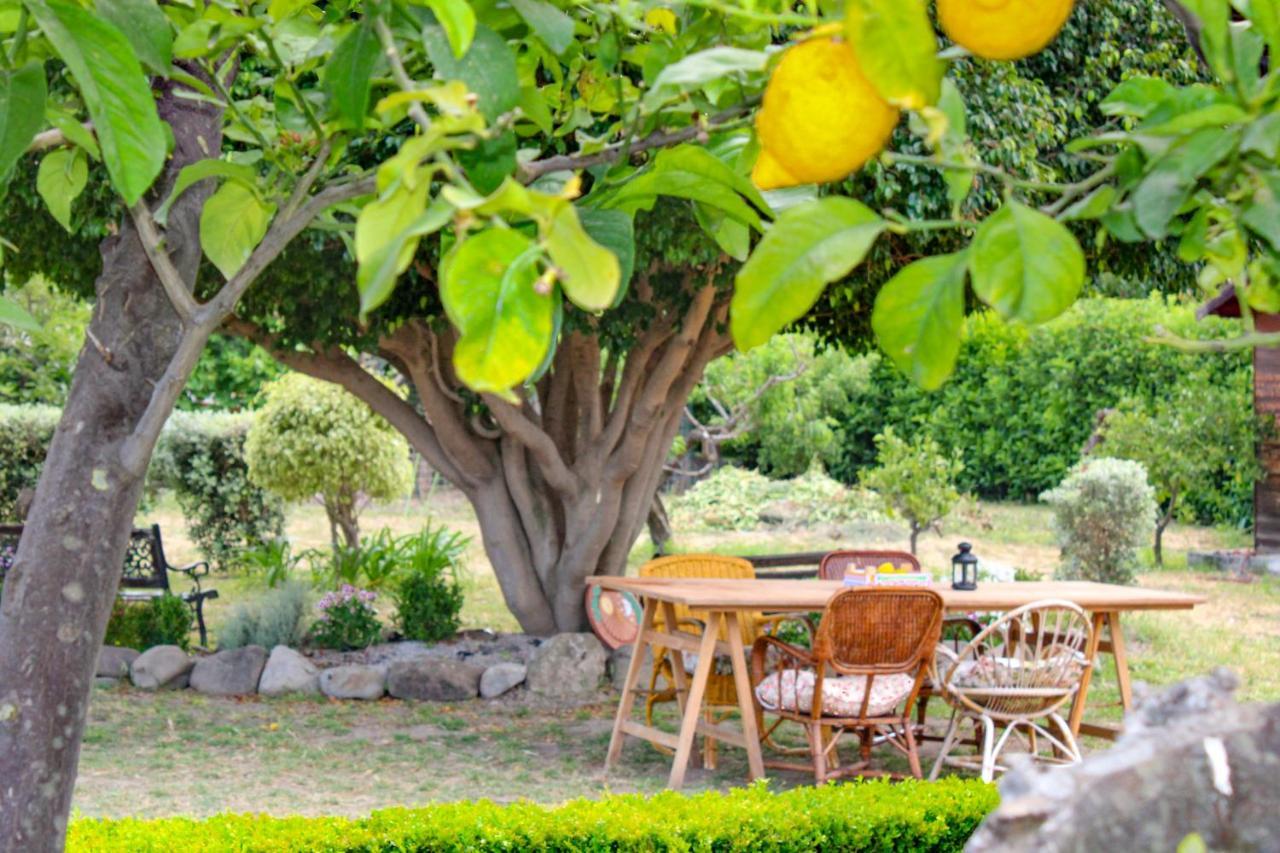 La Casa Di Lina - Capo D'Orlando, Casa Con Ampio Giardino Villa Екстериор снимка