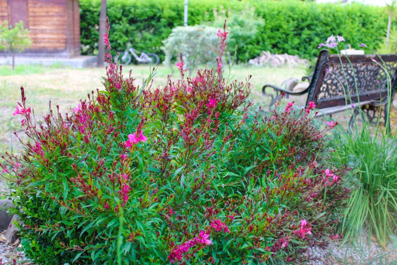La Casa Di Lina - Capo D'Orlando, Casa Con Ampio Giardino Villa Екстериор снимка