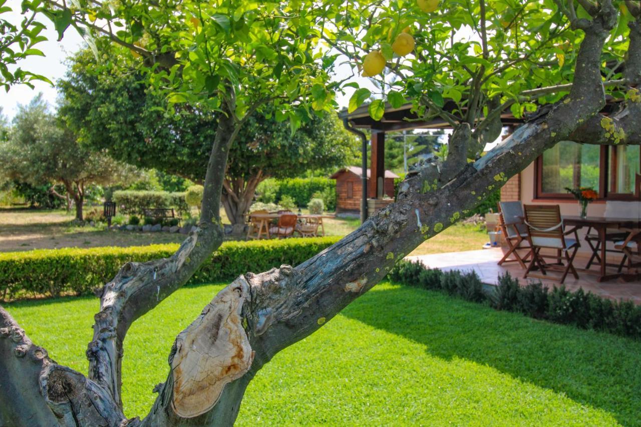 La Casa Di Lina - Capo D'Orlando, Casa Con Ampio Giardino Villa Екстериор снимка